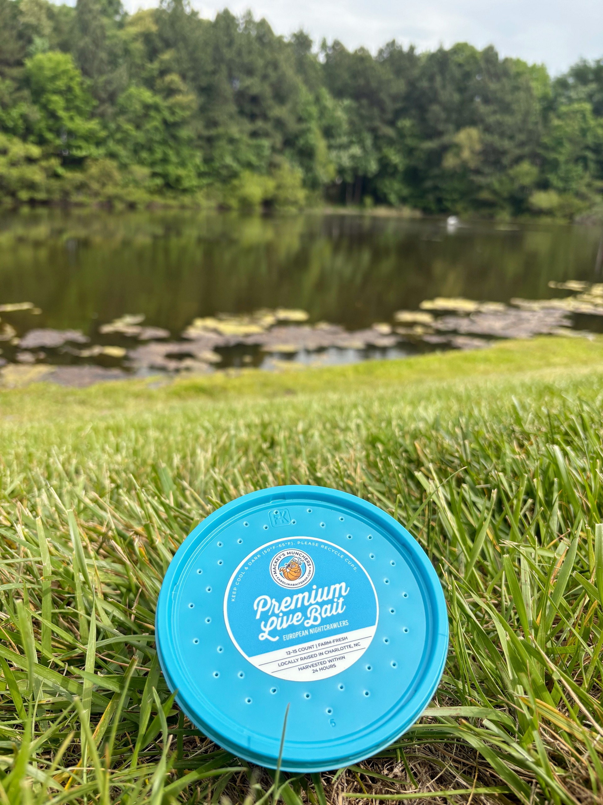 Mackey’s Munchers – Premium Live European Nightcrawlers for Fishing